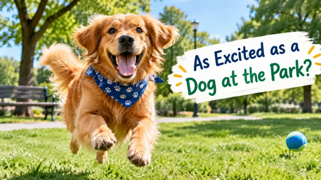 As Excited as a Dog at the Park