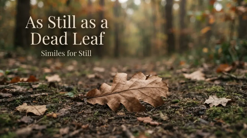As still as a dead leaf