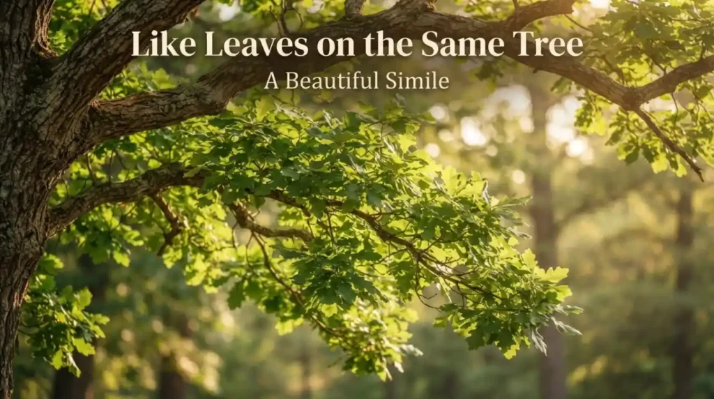 Like Leaves on the Same Tree