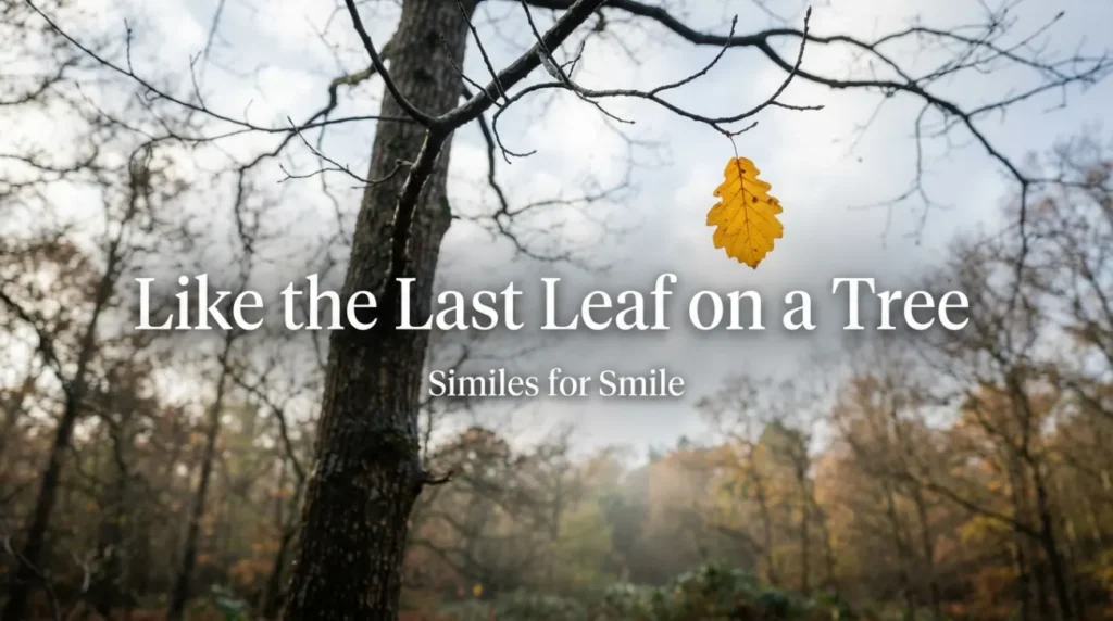 Like the last leaf on a tree