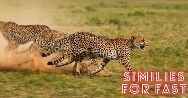 Similes for Fast