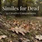 Similes for Dead