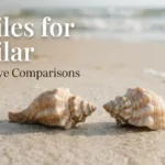 Similes for Similar