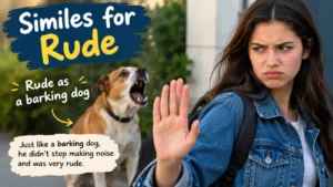 Similes for Rude